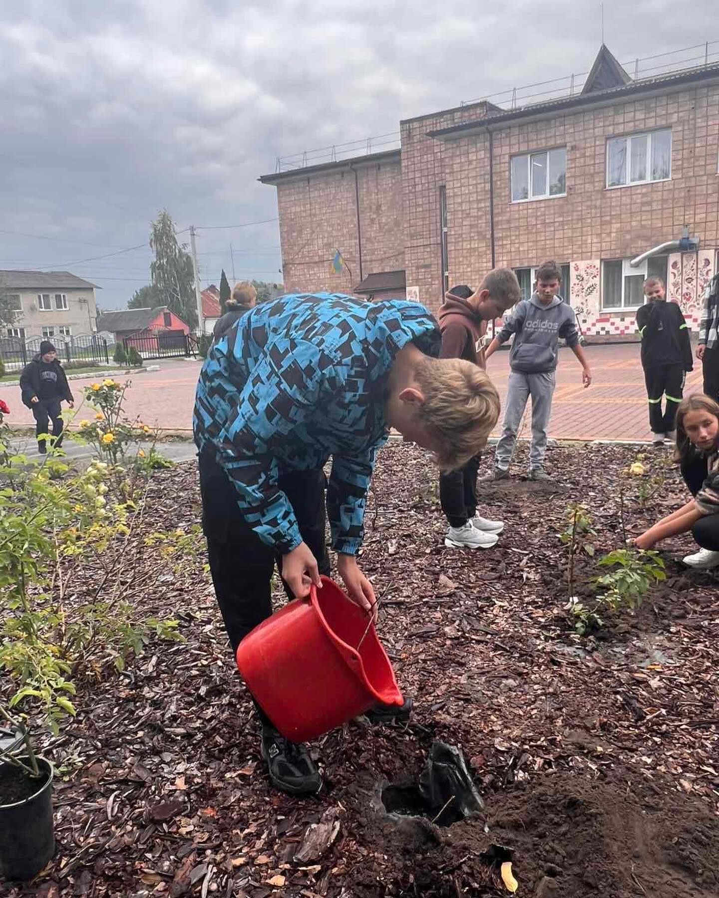 Акція «Подаруй троянду школі» Акція «Подаруй троянду школі»
