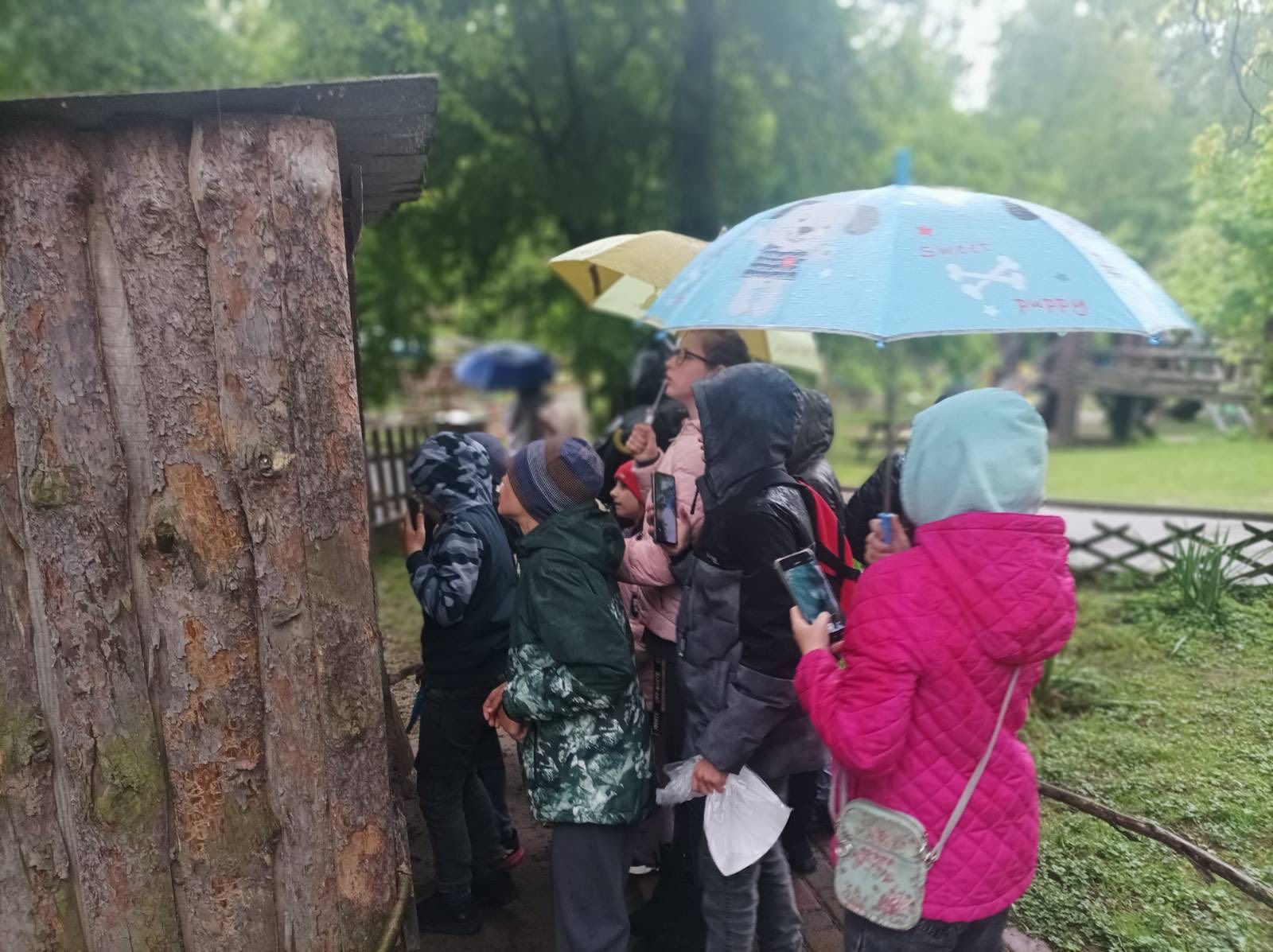 5-В клас здійснив захоплюючу подорож 5-В клас здійснив захоплюючу подорож