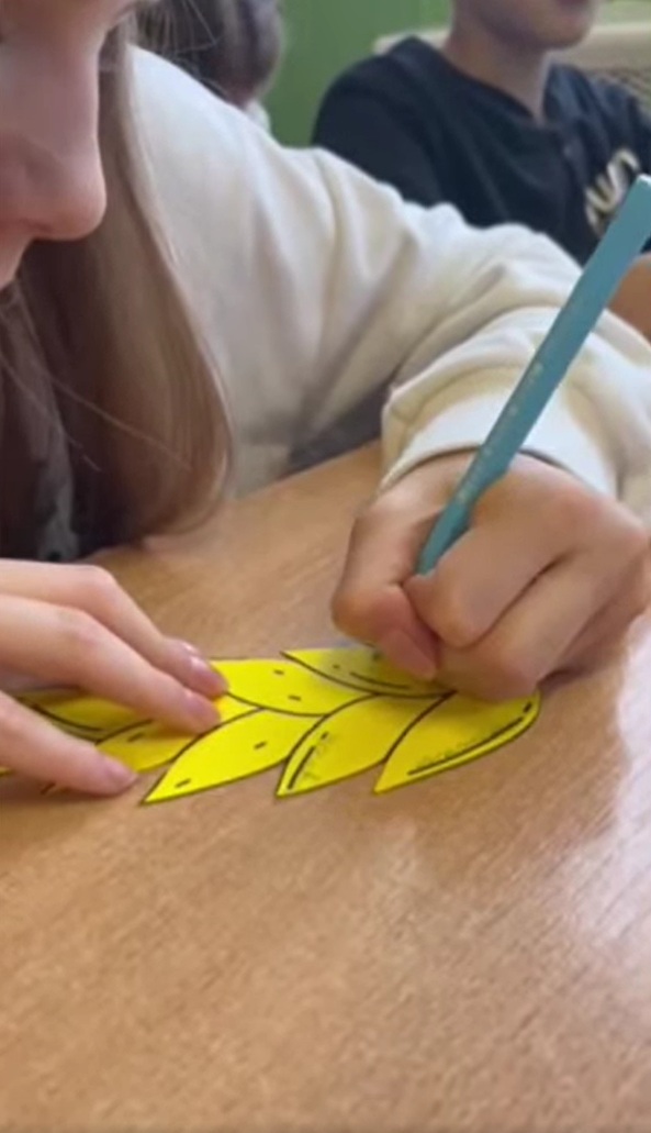 «Поле пам’яті. Колоски життя» – виховний захід у 6-Б класі «Поле пам’яті. Колоски життя» – виховний захід у 6-Б класі